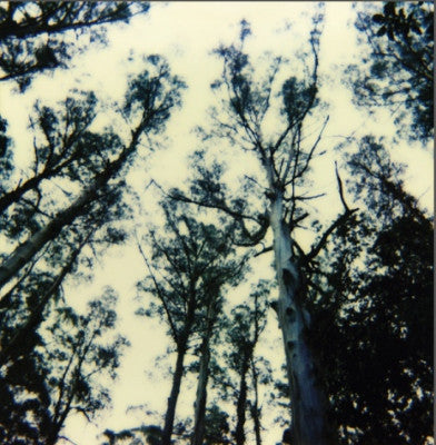 THE FRIGHTENING LIGHTS - Untitled