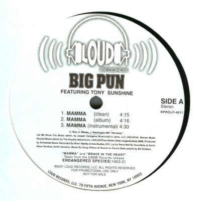 BIG PUN - Mamma / Brave In The Heart