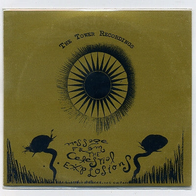THE TOWER RECORDINGS - Message From The Celestial Explosions