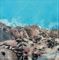 HOOKWORMS / KOGUMAZA - Form And Function / Ursids