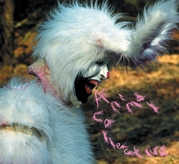 ANIMAL COLLECTIVE - Who Could Win A Rabbit