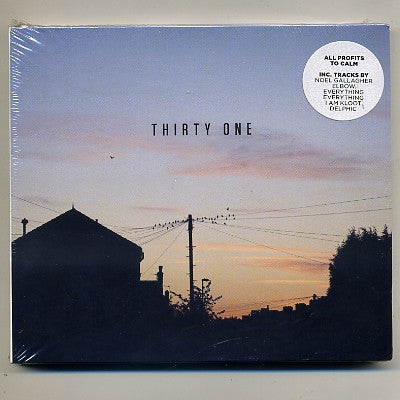 VARIOUS - Thirty One