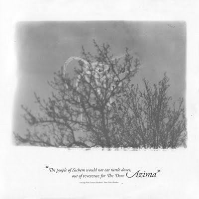 THE DOVE AZIMA - The Dove Azima