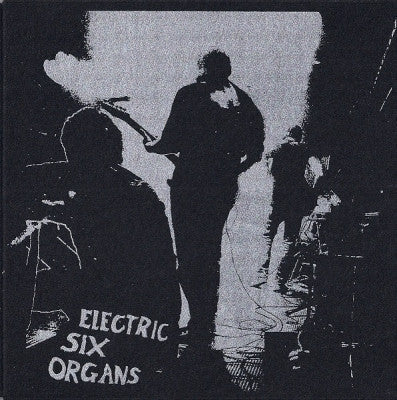 ELECTRIC SIX ORGANS - The Lost Electric Six Organs Album