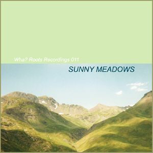 SUNNY MEADOWS - Float Afronaut In Space