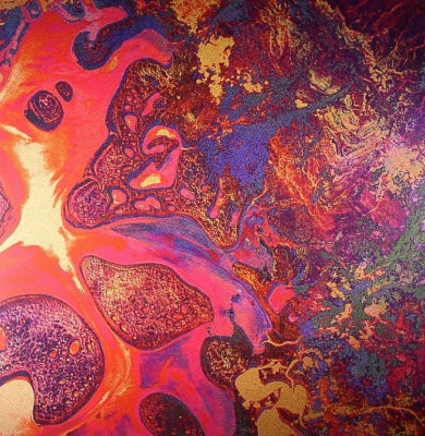 TAME IMPALA - Elephant