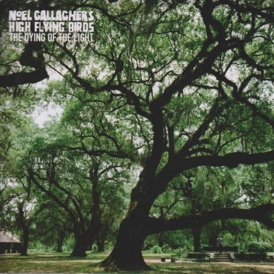 NOEL GALLAGHER'S HIGH FLYING BIRDS - The Dying Of The Light