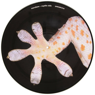MERZBOW / BAND OF PAIN - The Celebration OfThe Lizard / March Of The Myriapoda