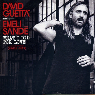 DAVID GUETTA FEAT. EMELI SANDE - What I Did For Love