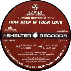 BLAZE - How Deep Is Your Love