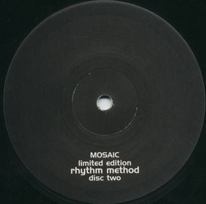 THE WISE CAUCASIAN / THE FEROCIOUS PHYSICS QUINTET / THE MEMORY FOUNDATION - Rhythm Method Disc 2