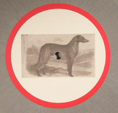 BOB / LAFFER / LIZARDS / RNR / TRAELA - 3000.3