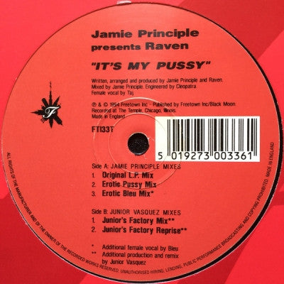 JAMIE PRINCIPLE PRESENTS RAVEN - It's My Pussy