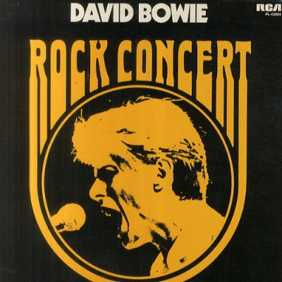 DAVID BOWIE - In Concert