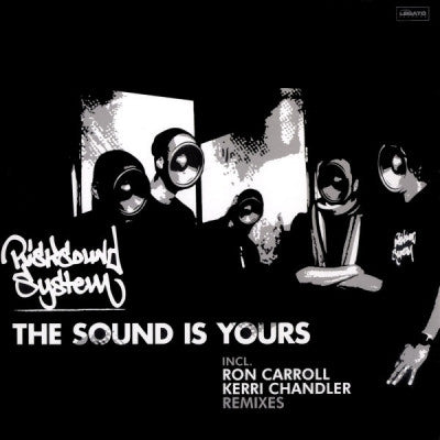 RISKSOUND SYSTEM - The Sound Is Yours