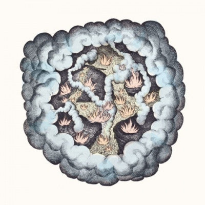 T.W. WALSH - Songs Of Pain And Leisure