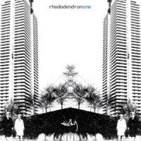 RHODODENDRON - One
