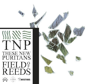 THESE NEW PURITANS - Field Of Reeds