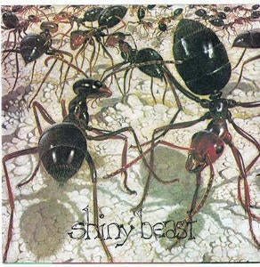 SHINY BEAST - Distro