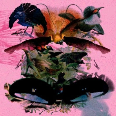 LEON VYNEHALL - Rojus Designed To Dance