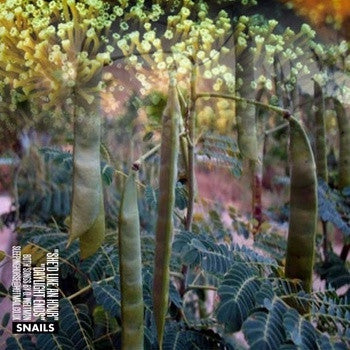 SNAILS - She'd Like An Hour