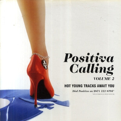 VARIOUS - Positiva Calling Volume 2