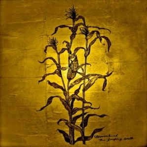 WOVENHAND - The Laughing Stalk