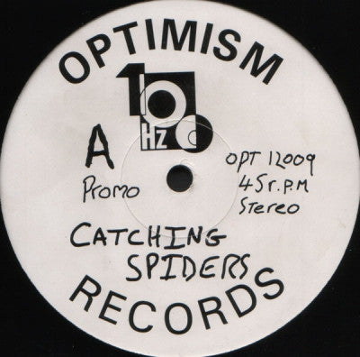 100 HZ - Catching Spiders