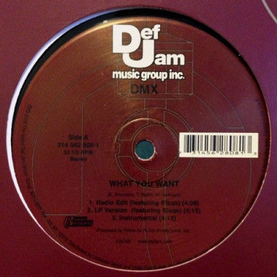 DMX - What You Want