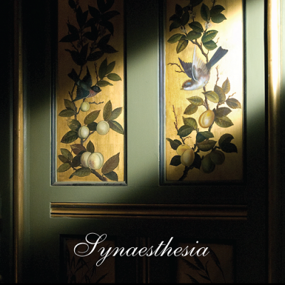 THE NIGHTJAR ORCHESTRA - Synaesthesia