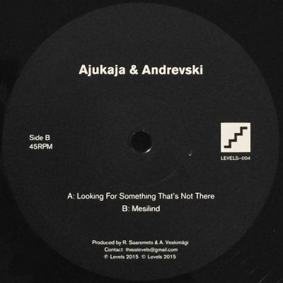 AJUKAJA & ANDREVSKI - Looking For Something That's Not There