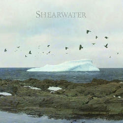 SHEARWATER - Rooks / The Rainbow