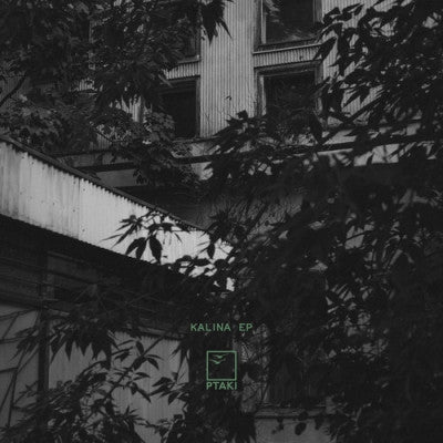PTAKI - Kalina