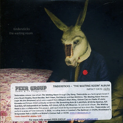 TINDERSTICKS - The Waiting Room