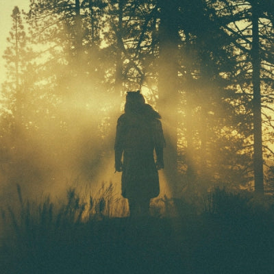 THUNDERCAT - The Beyond / Where The Giants Roam