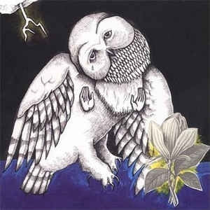 SONGS : OHIA - The Magnolia Electric Co