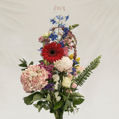 MEILYR JONES - 2013