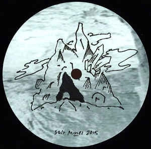 DJ PHLOWGOD / MALL GRAB X RUDOLF C / SHEDBUG / COASTDREAM - SALT001