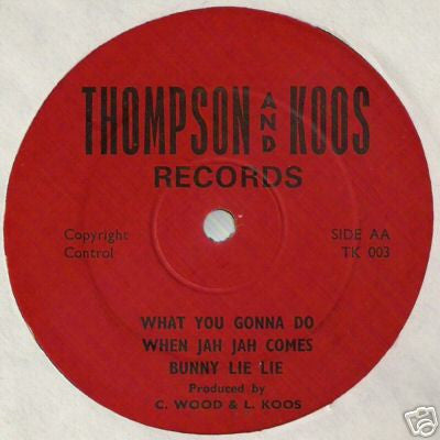 BUNNY LIE LIE - Natty Youth Man / What You Gonna Do When Jah Jah Comes