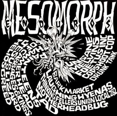 VARIOUS - Mesomorph Enduros