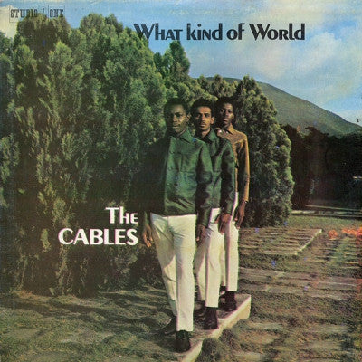 THE CABLES - What Kind Of World