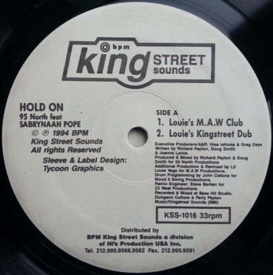 95 NORTH FEATURING SABRYNAAH POPE - Hold On