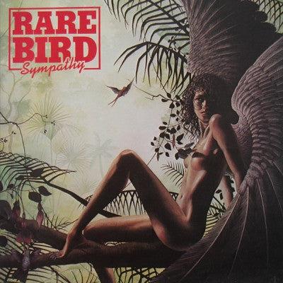 RARE BIRD - Sympathy