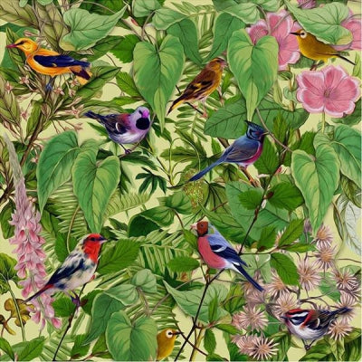 MARK BARROTT - Sketches From An Island