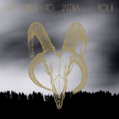 LAST MINUTE TO JAFFNA - Volume II