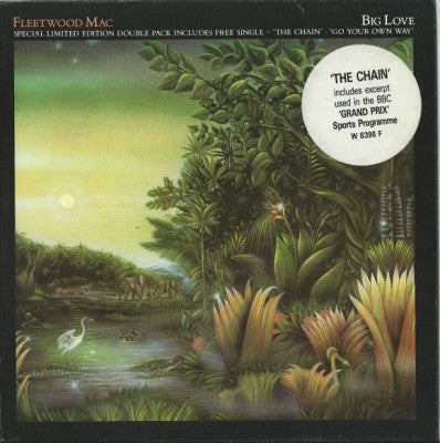 FLEETWOOD MAC - Big Love