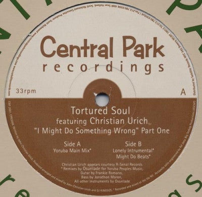 TORTURED SOUL - I Might Do Something Wrong