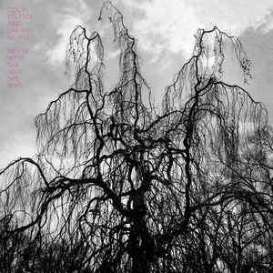 COLIN STETSON AND SARAH NEUFELD - Never Were The Way She Was