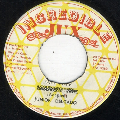 JUNIOR DELGADO - Jah Jah Say