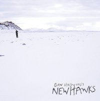 DAN HAYWOOD'S NEW HAWKS - Dan Haywood's New Hawks